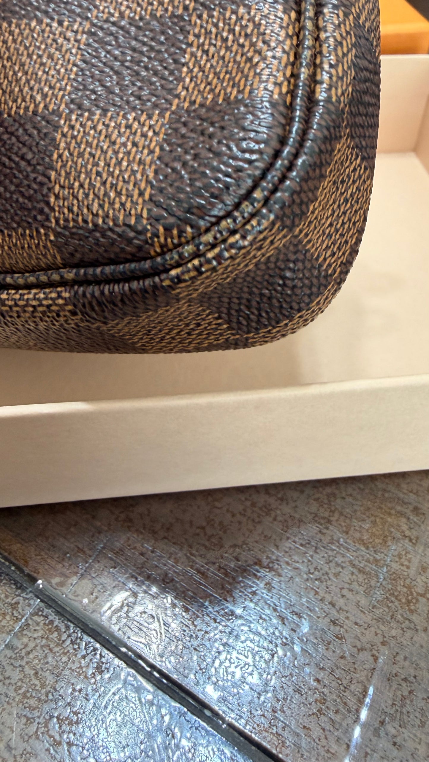 Limited Edition Mini Pochette Accessories