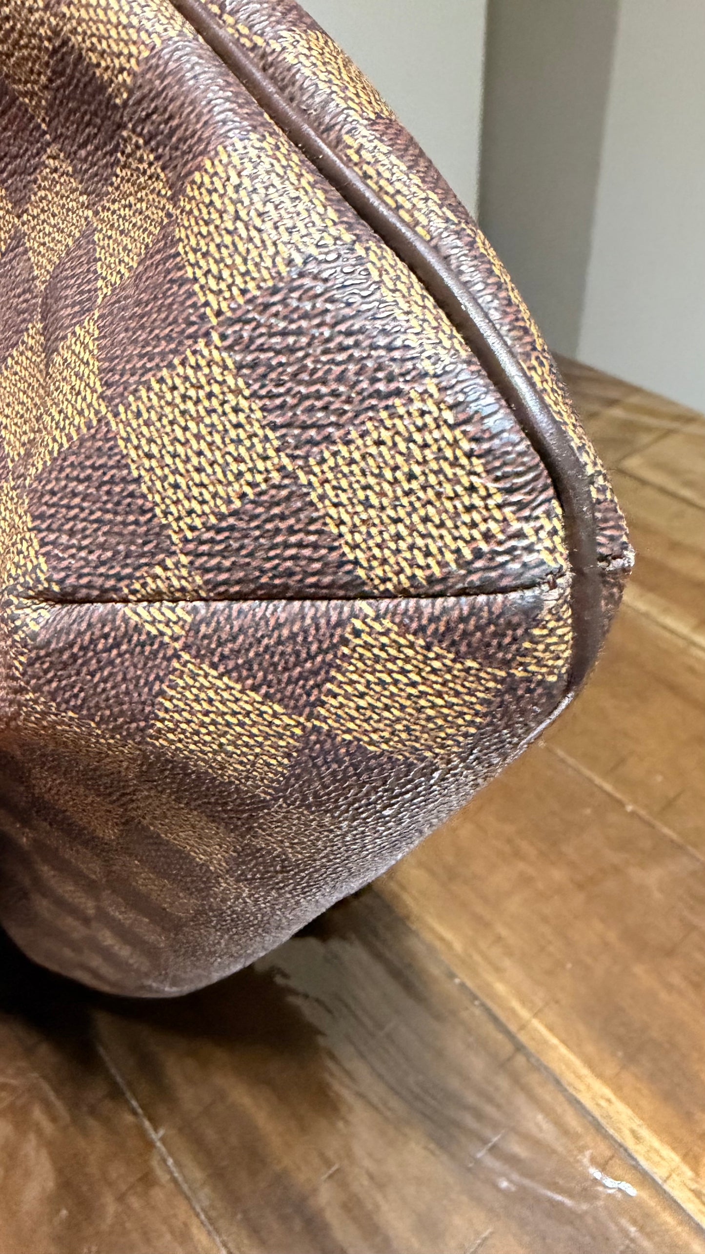 Musette Salsa GM