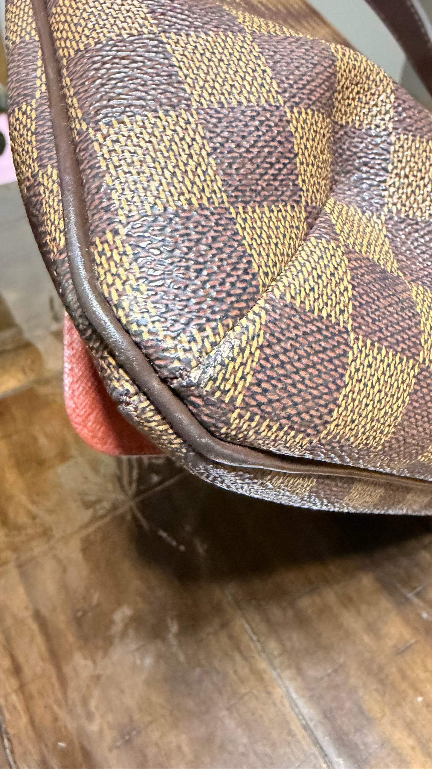 Musette Salsa GM