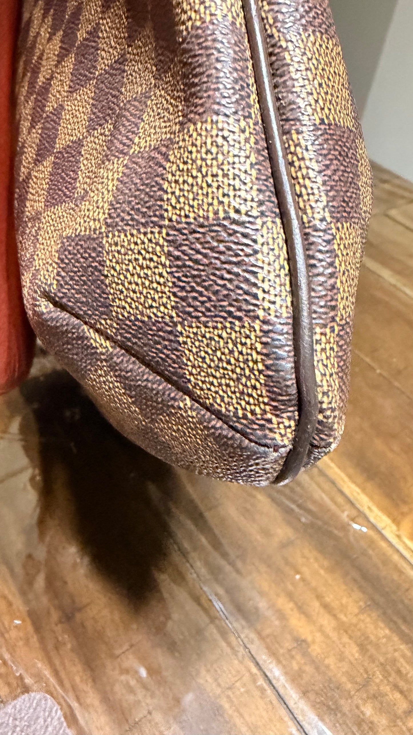 Musette Salsa GM